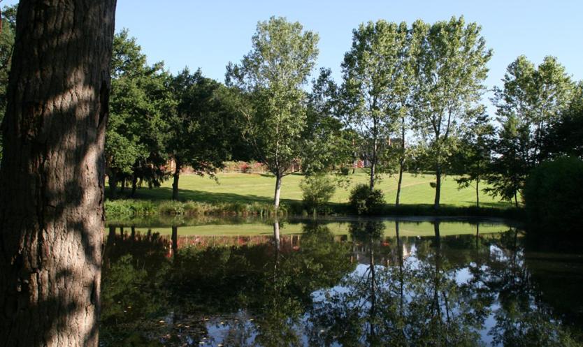 Domaine De Vilotte Bed and Breakfast Ardenais Exteriör bild